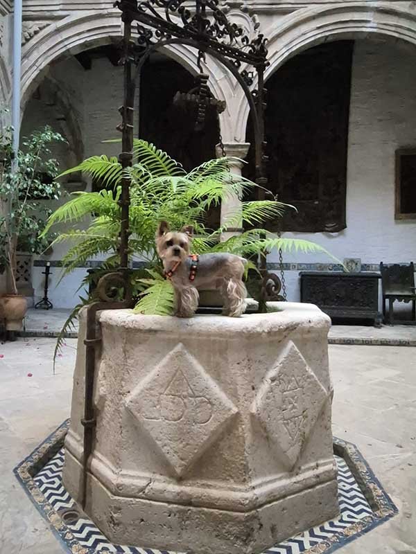 Patio_de_la_casa_de_Pickman_Sevilla-