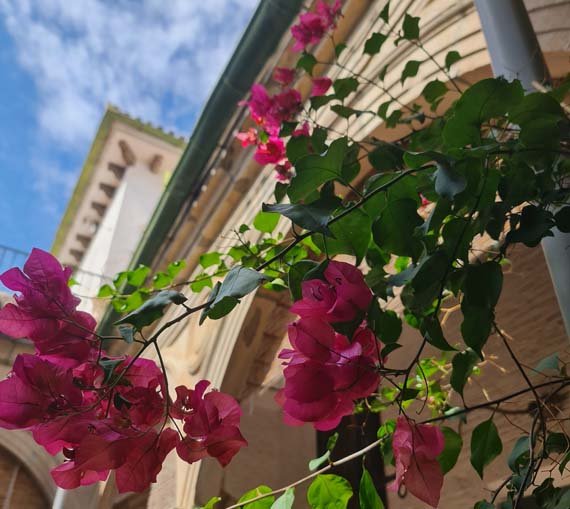 eventos_corporativos_en_sevilla_la_casa_de_Pickman_Sevilla-